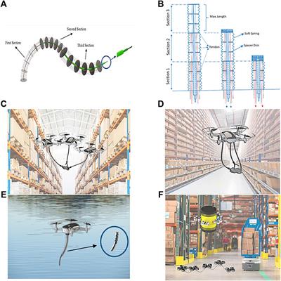 Aerial Continuum Manipulation: A New Platform for Compliant Aerial Manipulation
